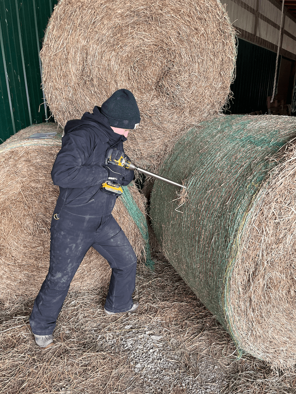 Hay testing